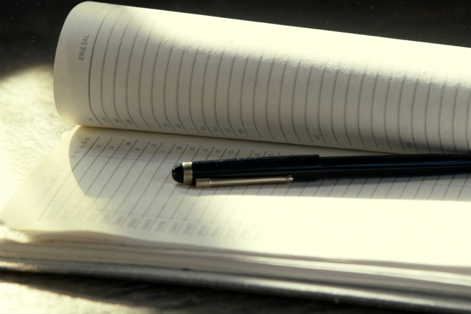 Un carnet ouvert et un stylo plume sur un bureau de bois, à la lumière du matin